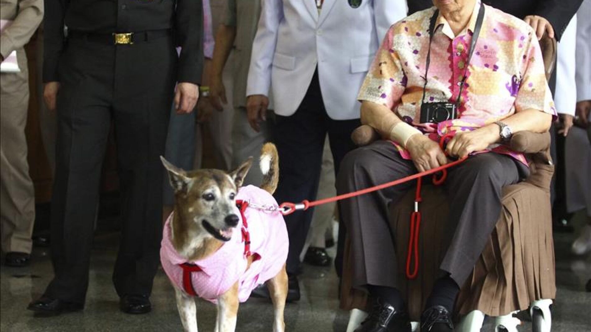 Thong Daeng, adoptada en 1998, sol&iacute;a aparecer en fotos oficiales del rey 