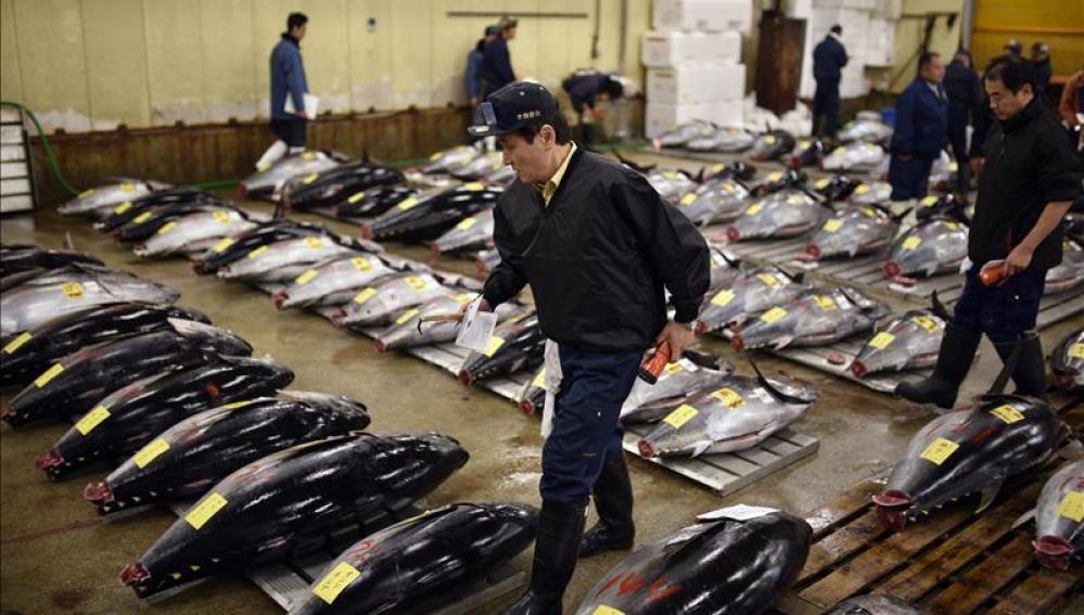 Subasta de atún en la lonja de Tokio