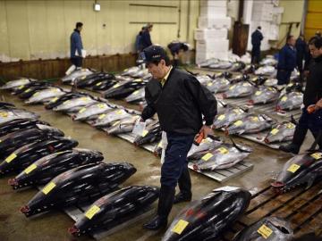 Subasta de atún en la lonja de Tokio