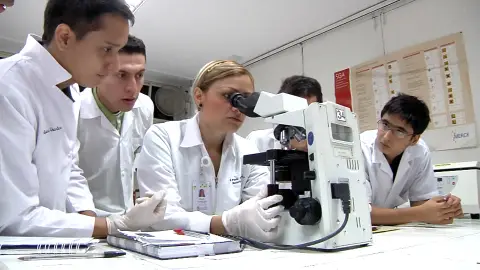 Desarrollan un antiviral contra el virus de la hepatitis C Desarrollan un antiviral contra el virus de la hepatitis C