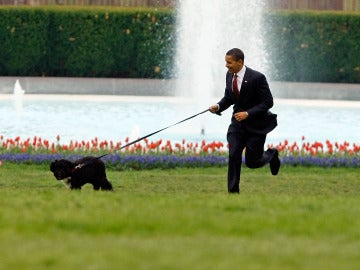 Back Obama con su perro Bo