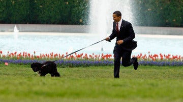 Back Obama con su perro Bo