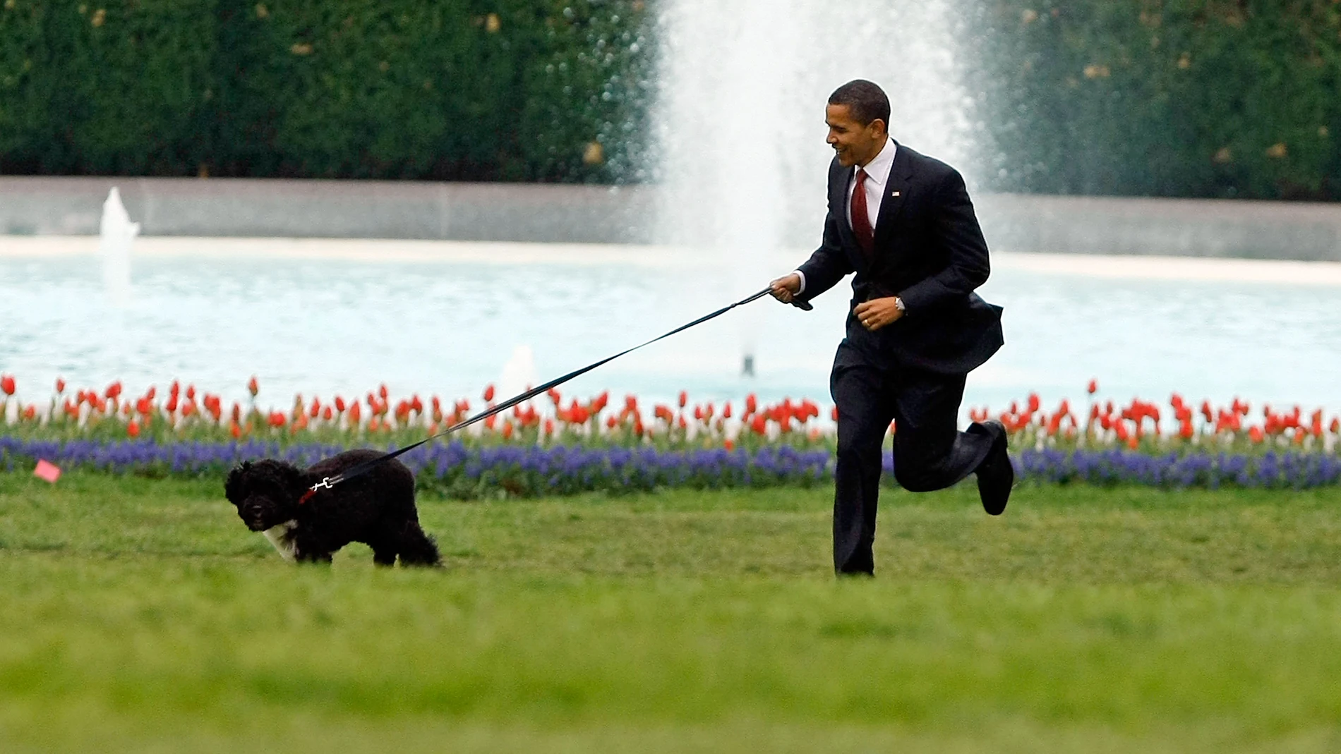 Back Obama con su perro Bo Back Obama con su perro Bo