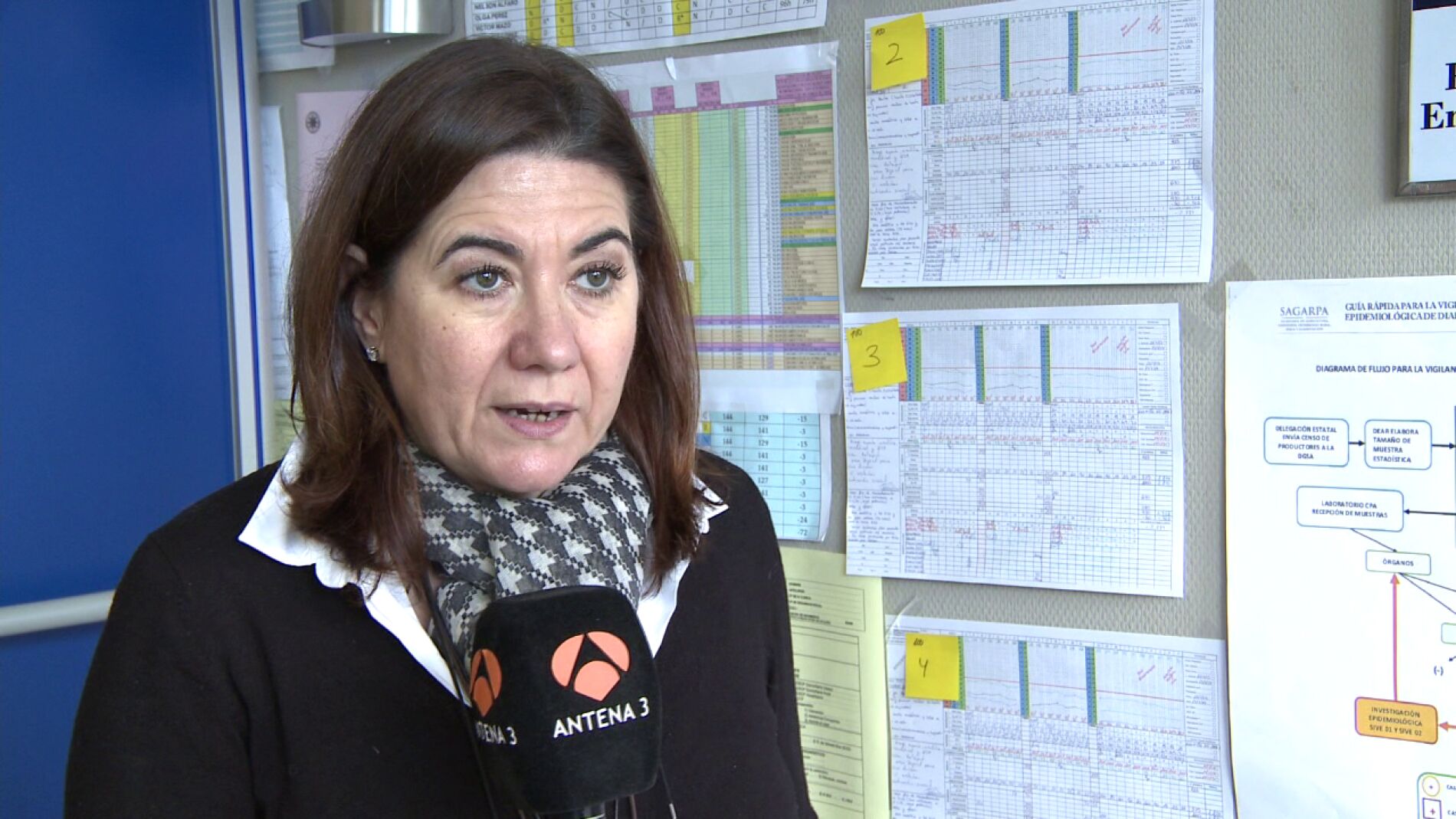 Luisa Mart&iacute;n: "Bajo Sospecha consigue enga&ntilde;arte en cada cap&iacute;tulo"