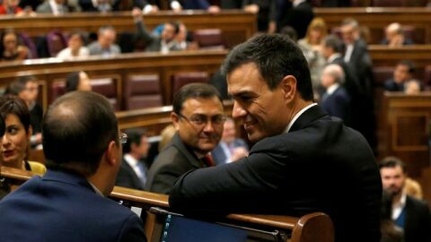 El l&iacute;der socialista, Pedro S&aacute;nchez