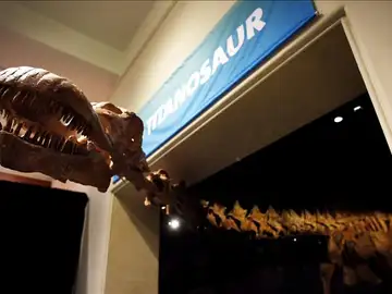 La exposición se podrá visitar hasta 2020 La exposición se podrá visitar hasta 2020