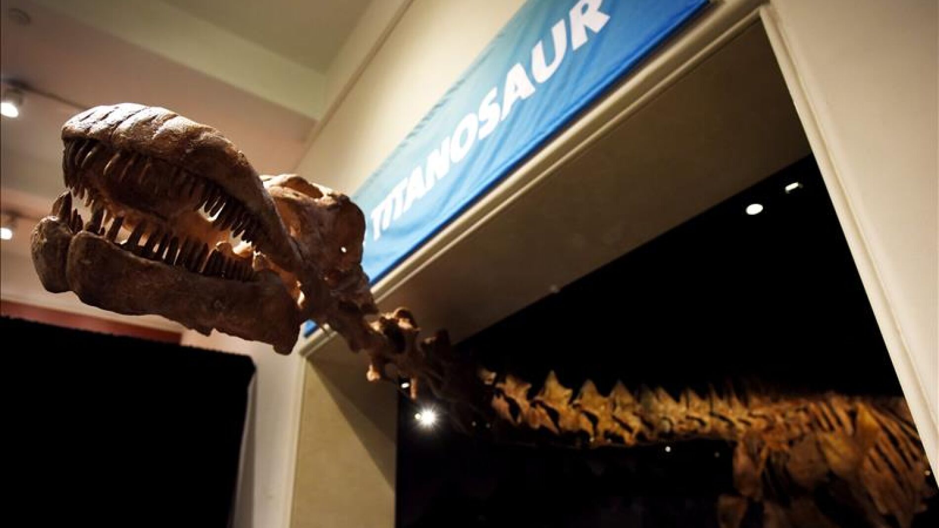 La exposici&oacute;n se podr&aacute; visitar hasta 2020