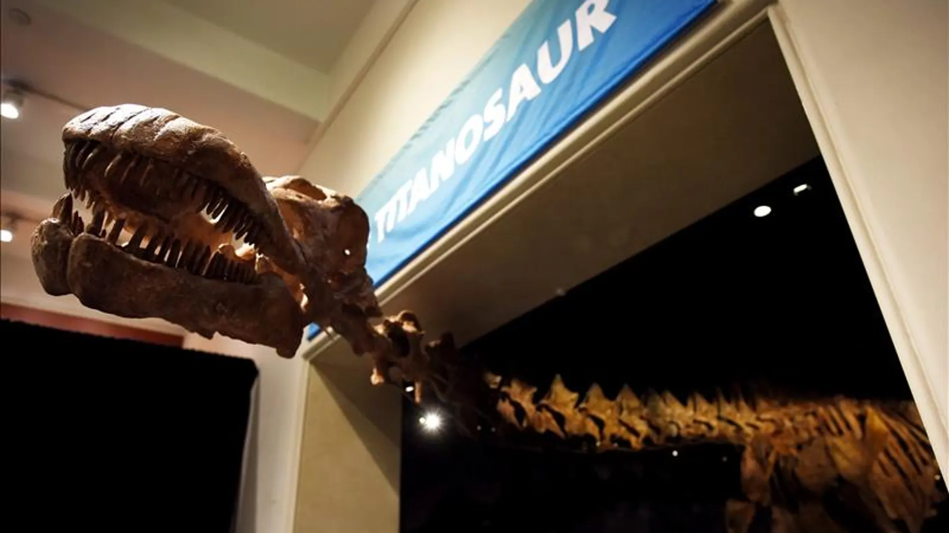 La exposición se podrá visitar hasta 2020 La exposición se podrá visitar hasta 2020