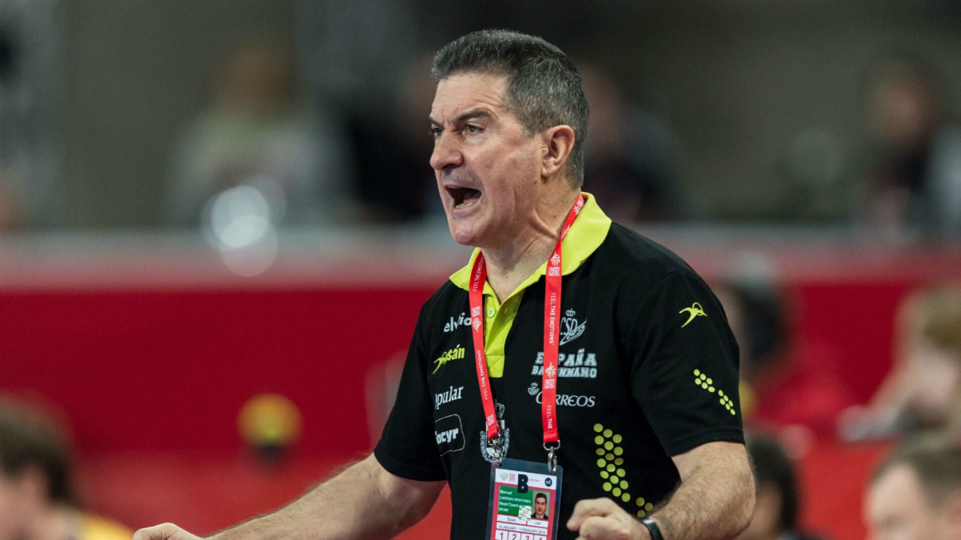 Manolo Cadenas celebra la victoria de Espa&ntilde;a ante Suecia