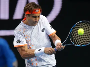 David Ferrer golpea de revés en su partido contra Isner David Ferrer golpea de revés en su partido contra Isner