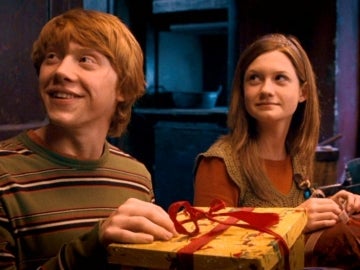 Ron Weasley y Ginny Weasley
