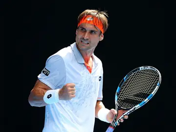 David Ferrer celebra un punto en el Open de Australia David Ferrer celebra un punto en el Open de Australia