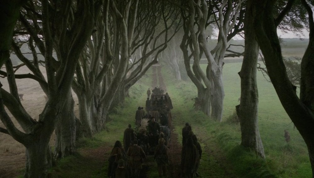 'The Dark Hedges'