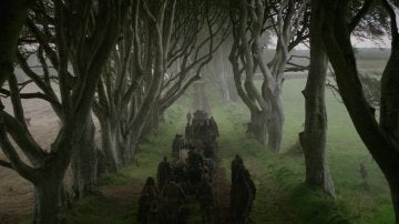 'The Dark Hedges'
