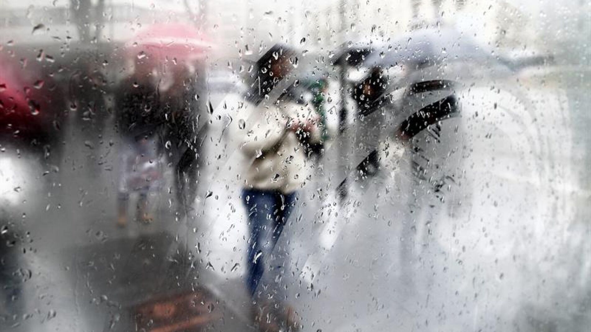 Bajas temperaturas y lluvias persistentes