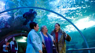 Piedad, Luci y Merche se plantan en el norte a la búsqueda de sus vascos