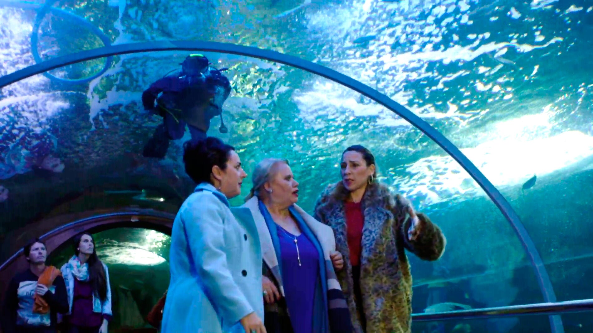 Las vecinas encuentran a Peio en el Aquarium