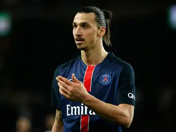 Ibrahimovic Ibrahimovic