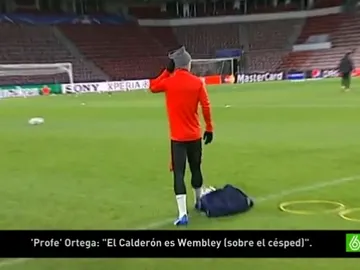El 'profe' Ortega, sobre el césped del Phillips Stadion El 'profe' Ortega, sobre el césped del Phillips Stadion