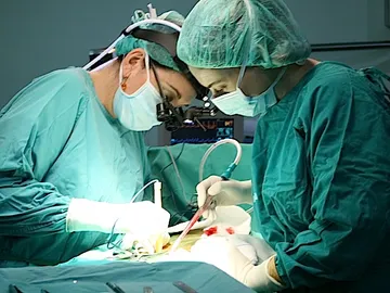 Imagen de un trasplante Imagen de un trasplante