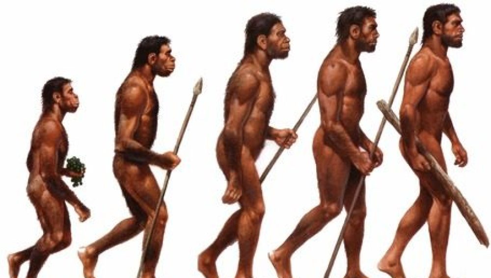 Homo Sapiens