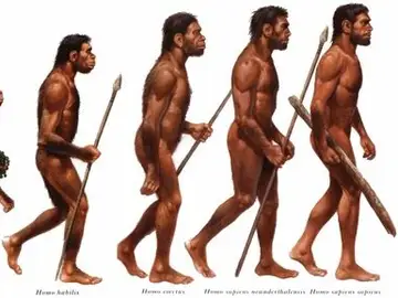 Homo Sapiens Homo Sapiens