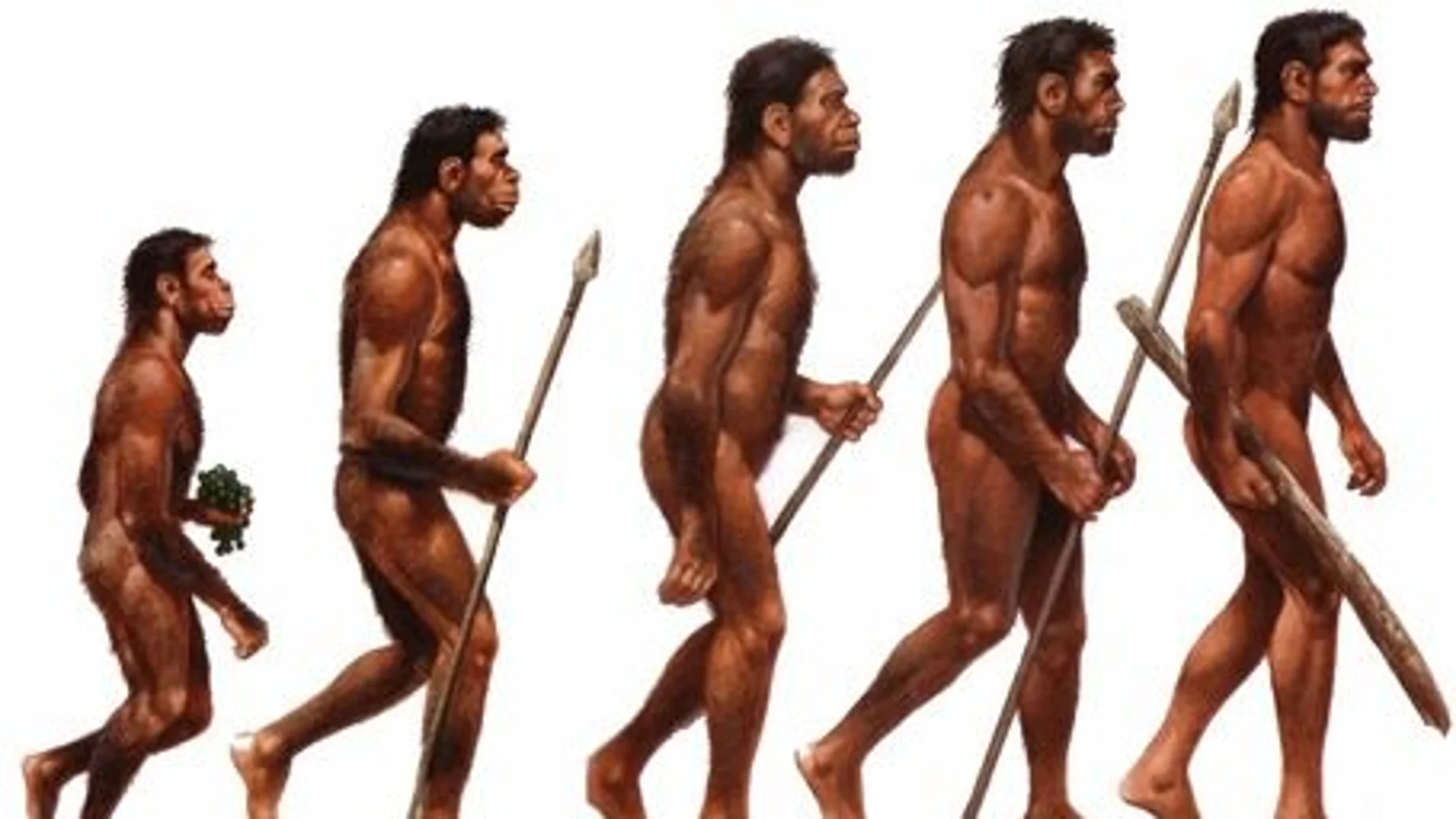 Homo Sapiens Homo Sapiens