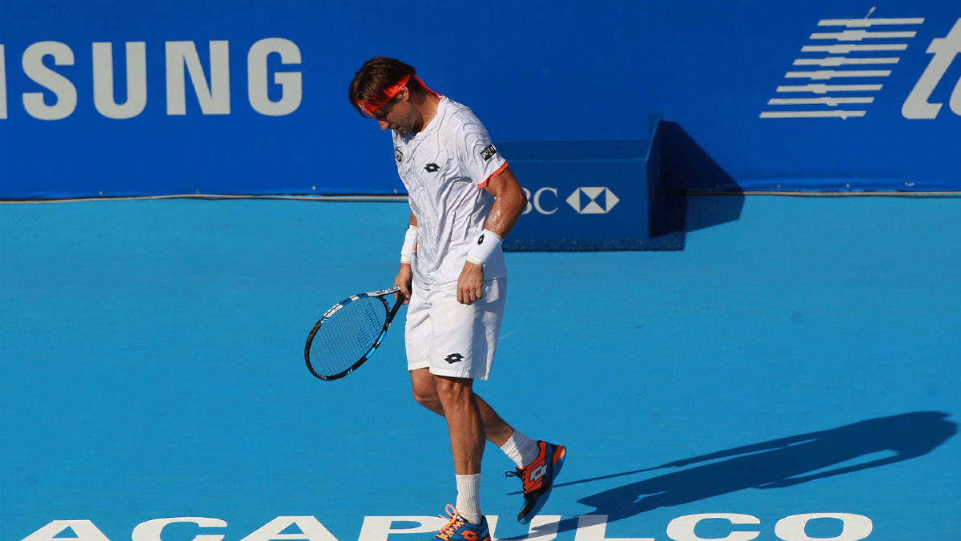 Ferrer, cabizbajo tras un punto ante Dolgopolov