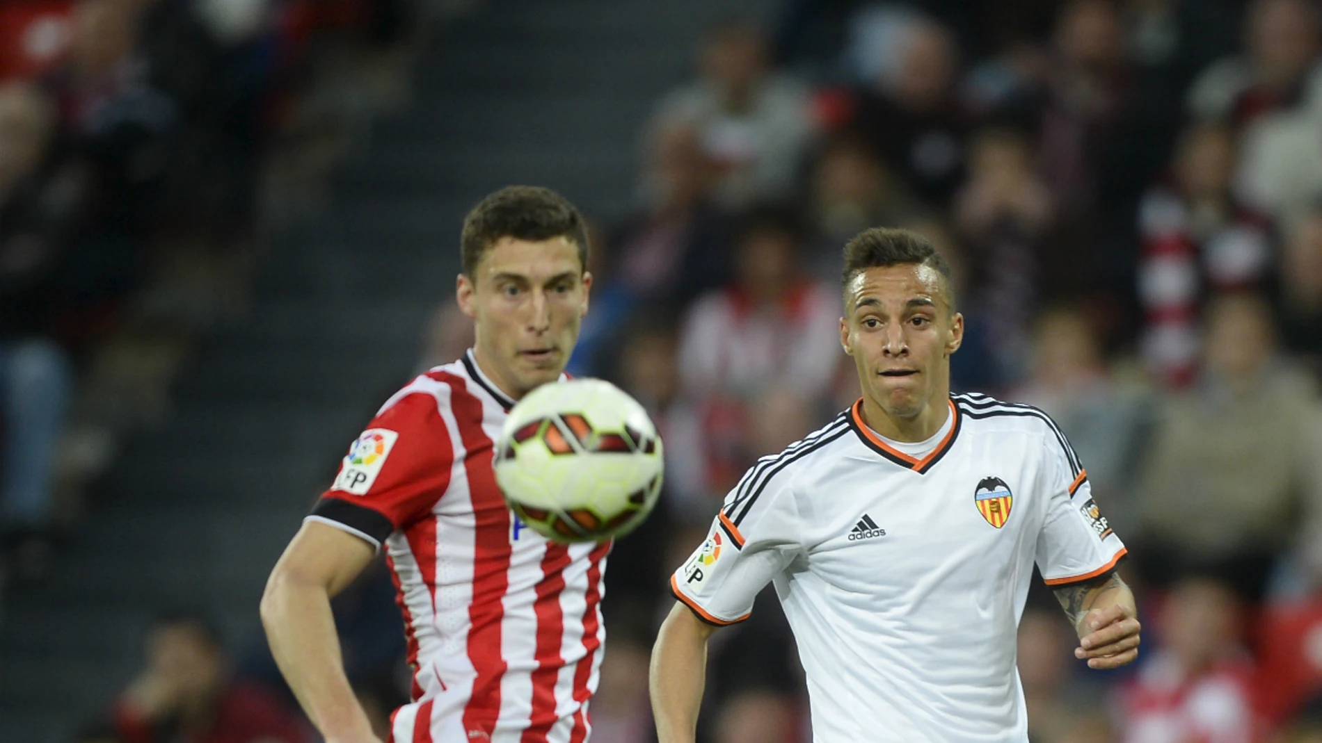 De Marcos, ante Rodrigo De Marcos, ante Rodrigo