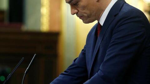 Pedro S&aacute;nchez