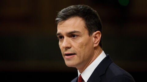 El secretario general del PSOE, Pedro S&aacute;nchez