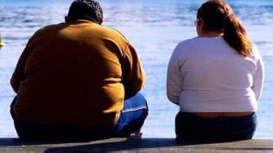 Localizan en el cerebro la clave para combatir la obesidad y otros trastornos