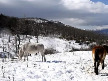 Nuevo frente frío con nevadas Nuevo frente frío con nevadas