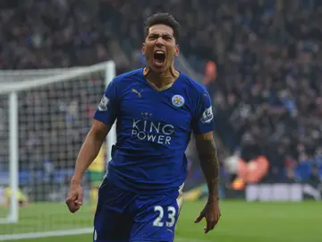 Ulloa, eufórico tras encajar el gol de la victoria al Norwich City Ulloa, eufórico tras encajar el gol de la victoria al Norwich City