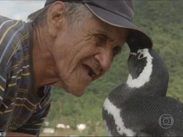 Joao y su amigo pingüino