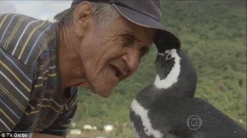 Joao y su amigo pingüino