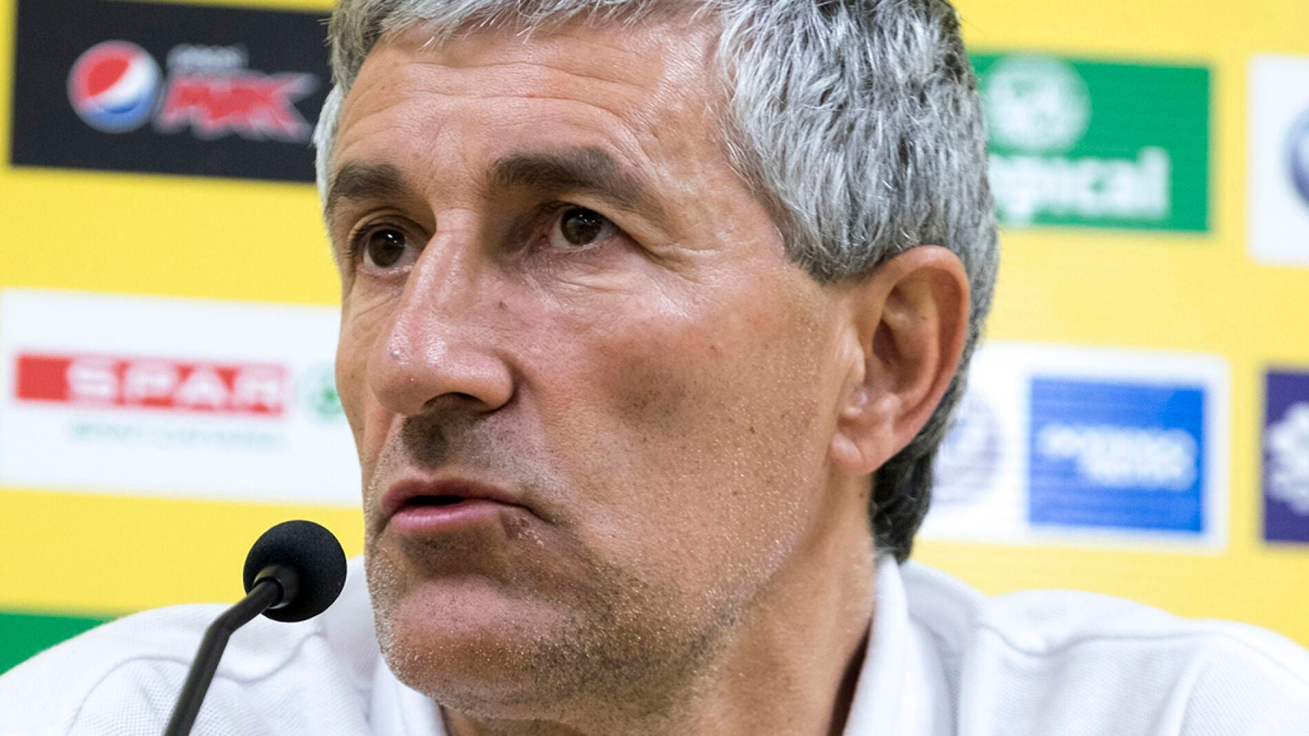 Seti&eacute;n en rueda de prensa.