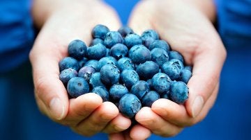 Los arándanos podrían ser buenos para combatir el Alzheimer Los arándanos podrían ser buenos para combatir el Alzheimer