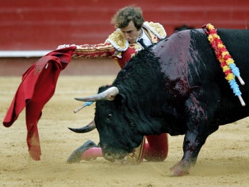 El torero valenciano Román, único matador de toros que cortó una oreja