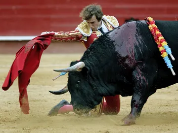 El torero valenciano Román, único matador de toros que cortó una oreja El torero valenciano Román, único matador de toros que cortó una oreja