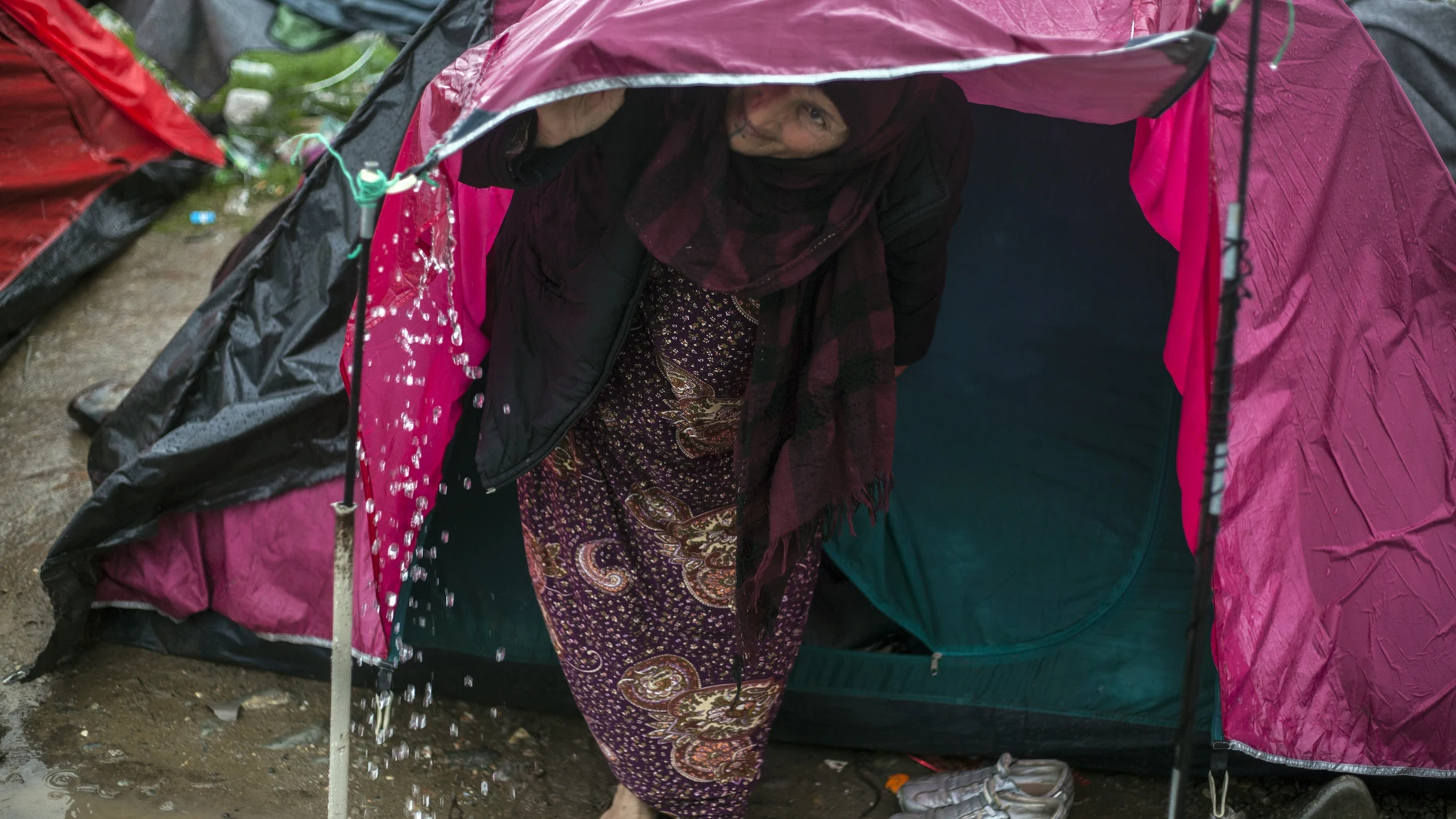 Refugiados Refugiados