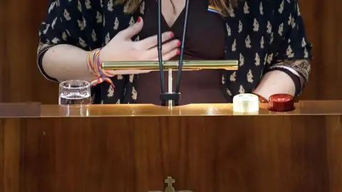 Eva Borox, exdiputada de Ciudadanos en Madrid Eva Borox, exdiputada de Ciudadanos en Madrid