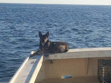 Luna, en el barco pesquero de su dueño