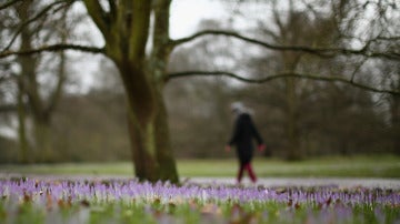 Llega la primavera