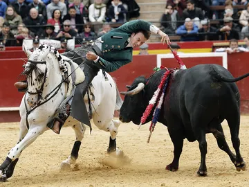 El rejoneador Andy Cartajena, cortó tres orejas en el festejo matinal de la Feria de las Fallas El rejoneador Andy Cartajena, cortó tres orejas en el festejo matinal de la Feria de las Fallas
