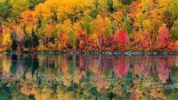 El otoño de Ontario
