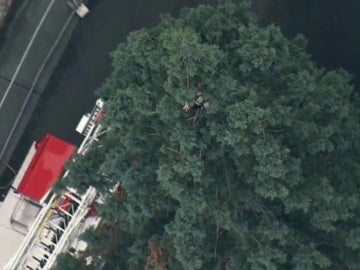Hombre subido a un árbol durante más de un día en Seattle Hombre subido a un árbol durante más de un día en Seattle