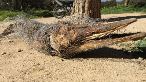 La Polic&iacute;a de Madrid encuentra el cad&aacute;ver de un posible delf&iacute;n en Casa de Campo