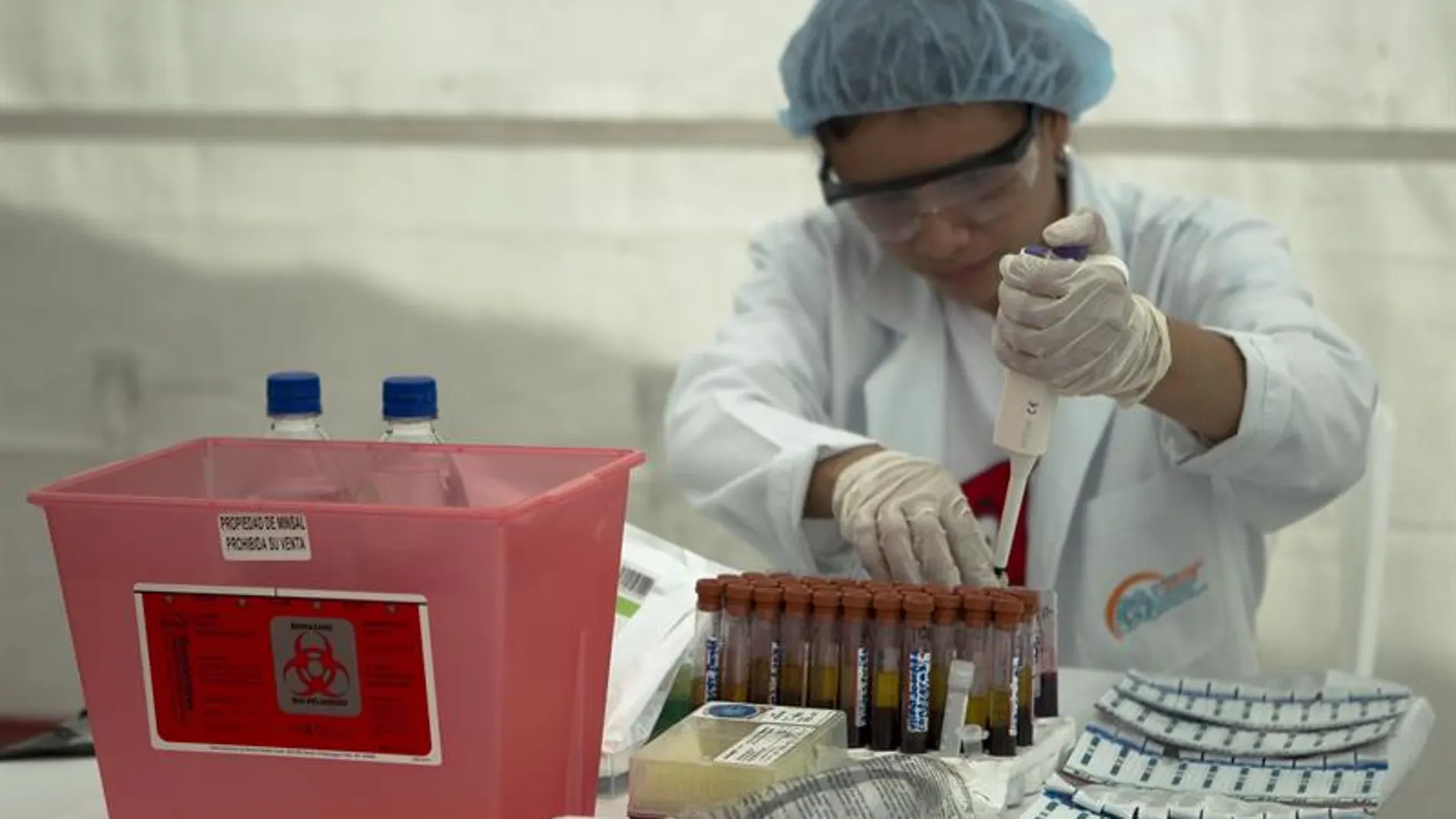 Una mujer realiza tests de prueba a unos análisis Una mujer realiza tests de prueba a unos análisis