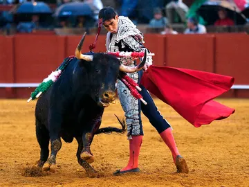 Jiménez Fortes Jiménez Fortes